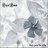 Cry Of Swan : But A Petal Has Fallen